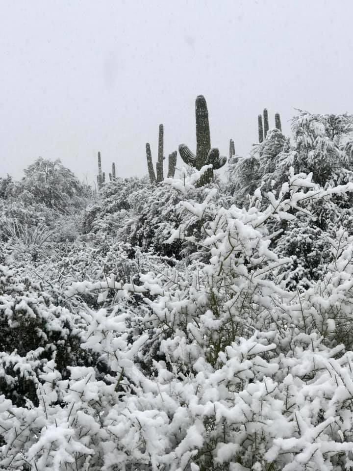 Snow in Tucson